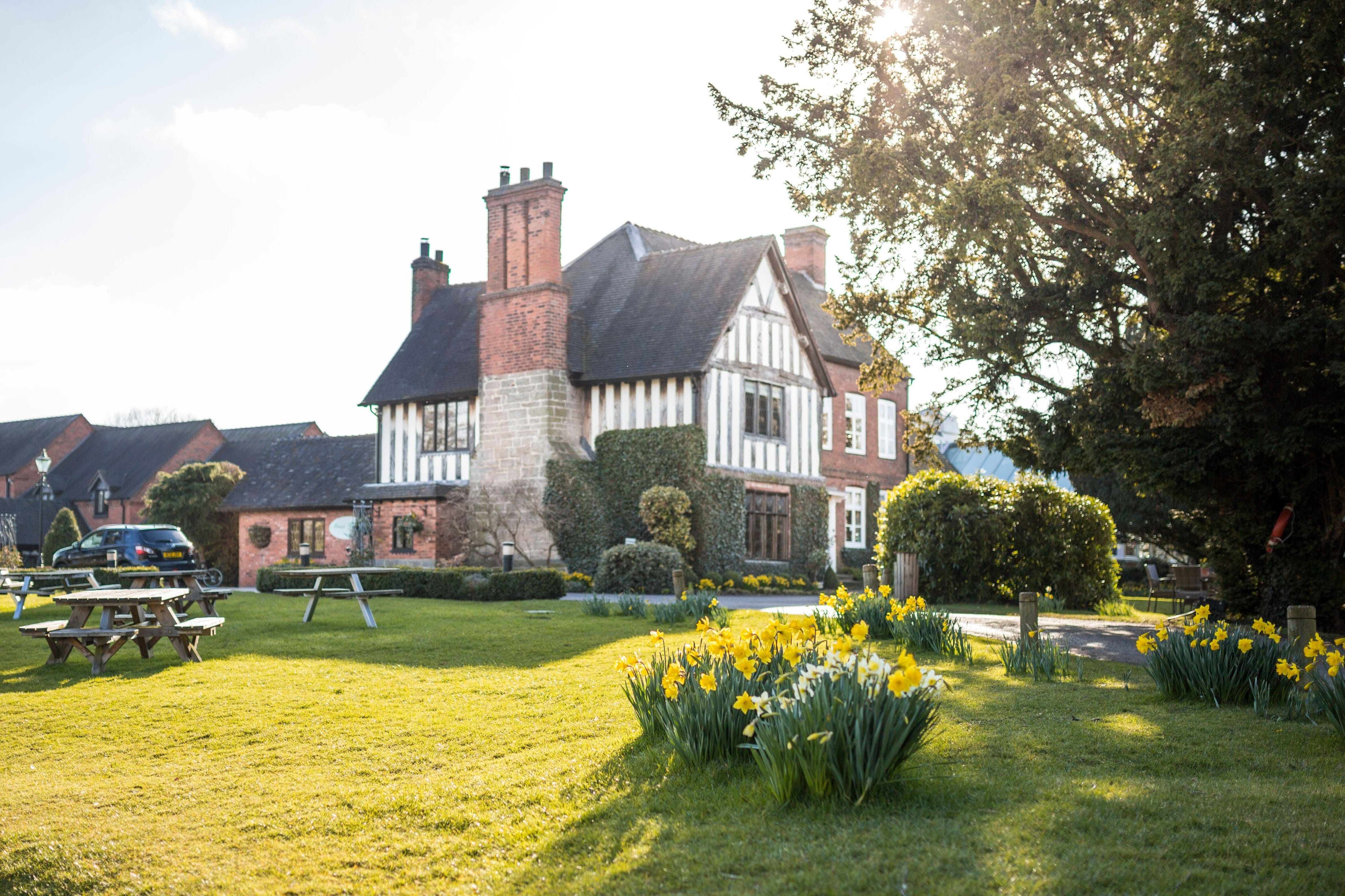 Historic house surrounded by greenery and yellow flowers